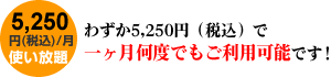 5,250�~�i�ō��j/���@�g������@�킸��5,250�~�i�ō��j�ňꃖ�����x�ł������p�\�ł��I 